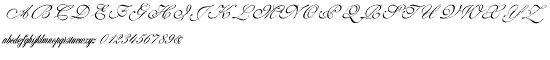 Wedding Script